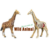 Sciences naturelles éléphant tigre vache cheval modèle bricolage animal squelette jouet
