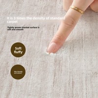 Tapis de luxe de style italien, facile d'entretien, absorbant le son, tapis doux pour salon, chambre à coucher, grand revêtement de sol