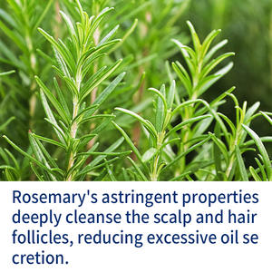 เซรั่มบำรุงผมออร์แกนิค น้ำมันหอมระเหยโรสแมรี่ ป้องกันผมร่วง บำรุงรากผม นวดกระตุ้นการเกิดใหม่ - Product Image 4