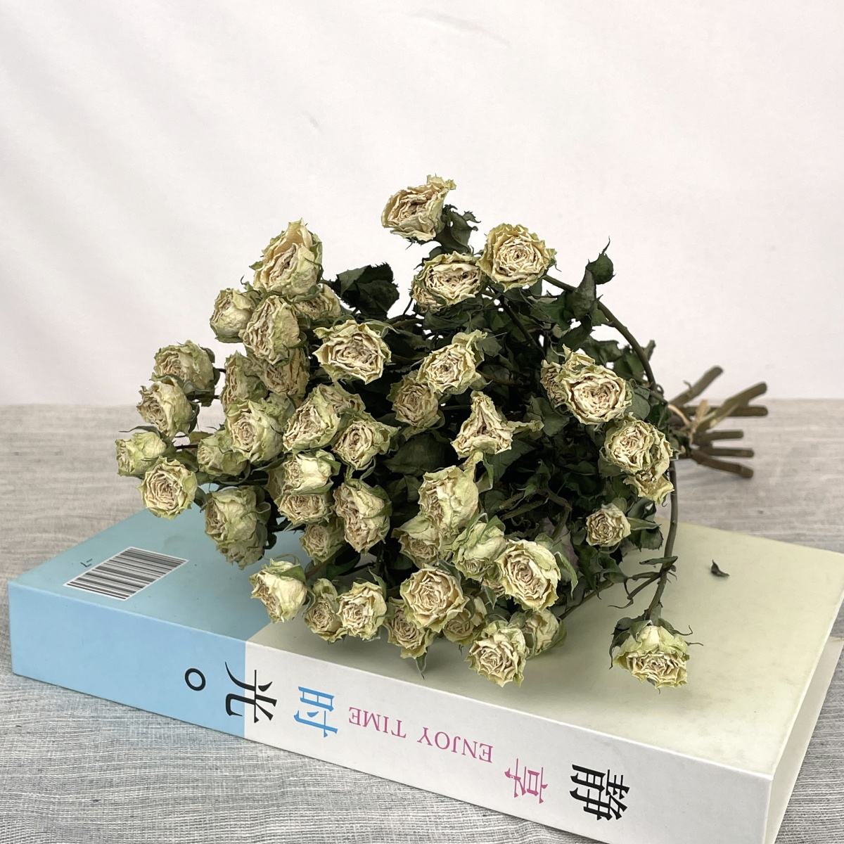 ฟองอากาศดาว