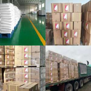 Precio de fábrica proteína creatina suplemento nutricional en polvo vitamina C mejorar la inmunidad - Product Image 3