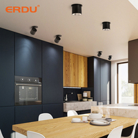 ERDU Aluminium Commercial Led Downlight Hôtel Surface Monté Rond Downlights Bureau Cob Projecteur
