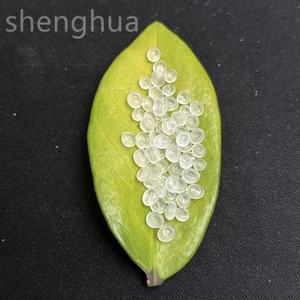 เม็ดพลาสติกโพลีโพรพิลีน ldpe/ppa/PVC PET /ps เกรดฉีดขึ้นรูป6711K - Product Image 6