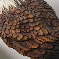 Statue d'aigle en résine peinte à la main, décoration d'extérieur pour cour, arrangement décoratif