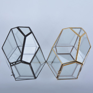 Maceta moderna para decoración interior del hogar, poligonal geométrico Terrario de vidrio, contenedor de latón para helecho suculento, planta de aire de Metal - Product Image 5