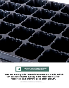 Plateaux de <span class=keywords><strong>semis</strong></span> DaringFish et pots de fleurs pour légumes, outils de plantation, boîtes de bouturage - Options multi-trous - Product Image 5