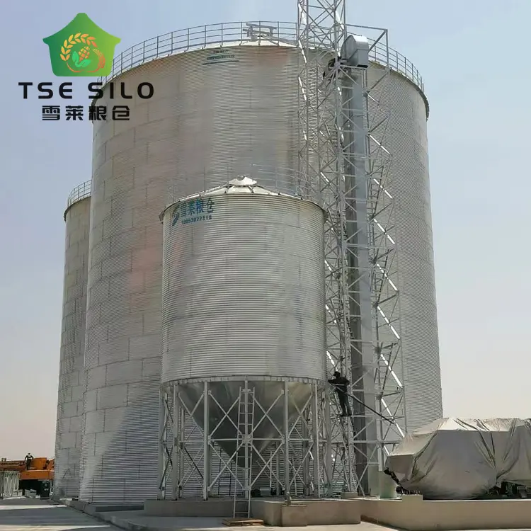 Grosir silo baja butiran dasar datar untuk pertanian jagung