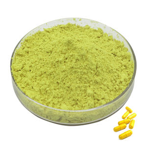 La fabbrica fornisce direttamente estratto vegetale naturale puro estratto di Sophora Japonica polvere di quercetina 95% 98% - Product Image 2