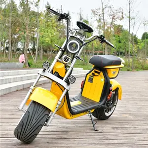2023 Sport Electric Glider Scooter 1000W 1500W 2000W Adult citycoco Electric Fat Bike Kit