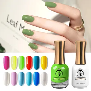 Ondersteuning Oem/Odm 2024 Nieuwe Mode Kleur Nagellak En Uv Gel Polish Perfecte Kleur Matching Set Voor Nail Art