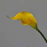 3D-Gedruckte EVA/PU Künstliche Calla-Lilien Naturgetreue Umweltfreundliche Wiederverwendbare Blumen für Hochzeits- und Heimdekoration