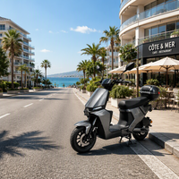 Fabricant OEM, prix bas, scooter électrique à assistance au pédalage de 250 W, homologué pour la route, pour adultes