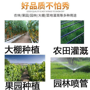 Kailizi 16mm Drip Tape Black PVC Greenhouse Irrigation Tape 4 Point Drip For Strawberry Farming - Product Image 3