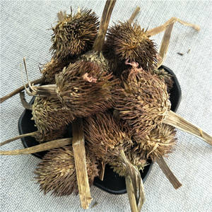 Zi Zhui Hua Organic Health Herb Flower Tea Coneflower púrpura seca/Echinacea Purpurea - Product Image 2