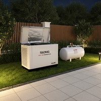 Générateur à essence tri-énergie SLONG 15 kW, type silencieux, gaz naturel, propane, GPL avec ATS pour l'alimentation électrique résidentielle de toute la maison