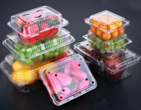 Boîtes de conservation alimentaire jetables en plastique à prix réduit, modèle 2026, pour aliments, légumes, fruits, gâteaux, desserts et salades