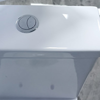 Dernière porcelaine sans monture P piège deux pièces placard à eau toilette dans les articles sanitaires bols de toilette Design et Wc bol pour salle de bain