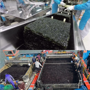 สาหร่ายโนริคิมคิมบับ อาหารเกาหลี สาหร่ายแผ่นแห้งมาตรฐานสำหรับทำโนริ (100 แผ่น) - Product Image 2
