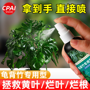 Solution nutritive Cpai Monstera Deliciosa 100ml, pulvérisation sans dilution, engrais foliaire - Product Image 5