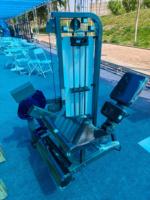 Équipement de fitness commercial : Appareil de musculation à charges guidées pour extensions assises et curls couché