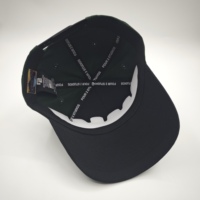 Casquette Hip Hop structurée Logo personnalisé Logo brodé 3D Casquette de baseball à 5 panneaux en coton Casquette snapback Casquette de camionneur