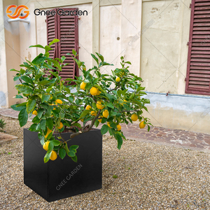 24 Inch Black Galvanized Steel Planter Modern <b>Square</b> Indoor Outdoor Metal Rustproof Flower <b>Pot</b> Heavy Duty Home American Style - Product Image 6