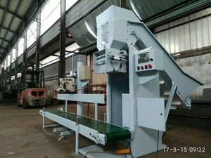 Khoai Tây Đóng Bao Máy Máy Đóng/Khoai Tây Chiên Máy Đóng Gói/Tỏi Đóng Gói Túi - Product Image 3