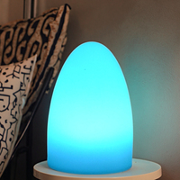 Veilleuse LED en forme d'œuf d'oie à économie d'énergie avec télécommande, lumière chaude en plastique pour chambre/fête, décoration d'ambiance créative