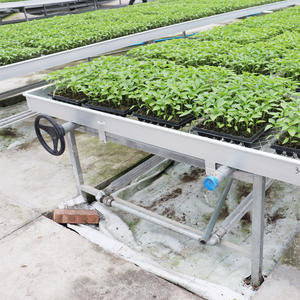 Tavolo da Coltivazione Mobile 4x8 con Vassoio Ebb&Flow per Serre Agricole, con Drenaggio e Aiuola per Semina - Product Image 3