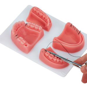 Ciencia Médica Quirúrgica, modelos de entrenamiento bucal Dental, almohadilla para la piel de los dientes dentales, almohadilla de sutura dental - Product Image 1