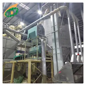 Çin 60Tpd kullanımı kolay çeltik kurutma makinesi pirinç Parboiling üretim hattı orta boy YARI HAŞLANMIŞ PİRİNÇ freze hattı