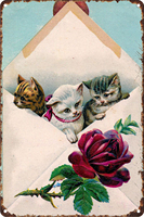 En gros, Décoration murale artisanale : Collection d'affiches en fer blanc, motif chat mignon, best-seller, thème animal, pour la maison et les restaurants