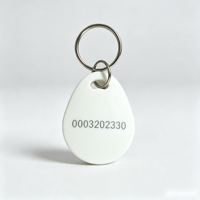 Individueller RFID-Schlüsselanhänger aus ABS für Zugangskontrolle mit Logo für Türeintritt
