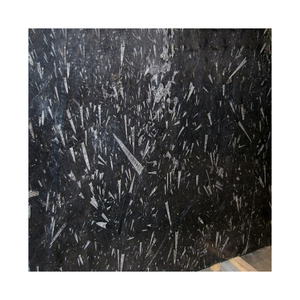 Tấm Đá Cẩm Thạch Đen Đánh Bóng Sàn Phòng Tắm, Đá Tự Nhiên Hóa Thạch - Product Image 3