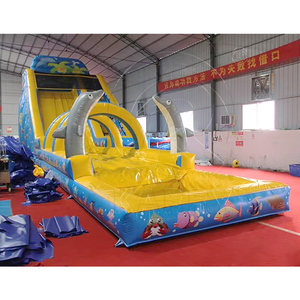 Toboggan aquatique gonflable géant incurvé en PVC pour usage domestique - Product Image 5