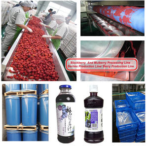 Automatique et Semi-Automatique Confiture Équipement Produisant La Ligne de Production de Confiture Faisant La Machine Fruits - Product Image 2