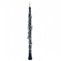 Wholesale Professional Musical Woodwind Instruments Semi Automatic Button Bakelite 22 Key C Tone Oboe Nickel Plated with Case