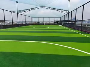 Erba Sintetica per Campi da <span class=keywords><strong>Calcio</strong></span> 50mm, PP, Direttamente dalla Fabbrica, Alta Qualità, Resistente all'Usura, Esportabile, Personalizzabile - Product Image 6