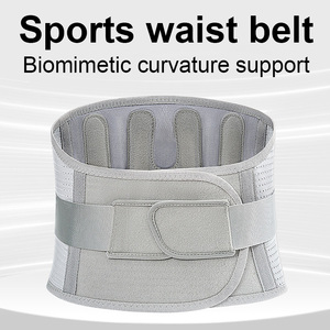 Supporto Lombare Regolabile con 4 Piastre di Sostegno, Compressione a 360° per Alleviare la Tensione Lombare e Correggere la Postura - Product Image 2