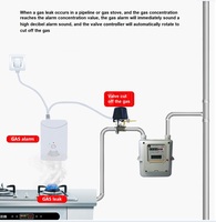 Manipulador de Válvulas de Agua y Gas, Robot Mecánico y Eléctrico