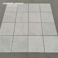 Centurymosaic Factory, vente en gros de carreaux de marbre blanc de Carrare, Italie, pierre naturelle, carreaux de marbre de 24x24 pouces pour les projets de villas et d'hôtels
