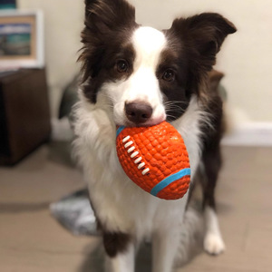 Pelota de juguete chirriante para perros Huayuan, tamaño mediano, duradera, amigable con los dientes, para Border Collies, Golden Retrievers, Corgis y otros perros - Product Image 1
