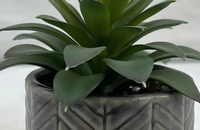 Plantes succulentes artificielles de bureau, mini-potées, écologiques, haute simulation, pour décoration de mariage, de remise de diplôme et de bureau