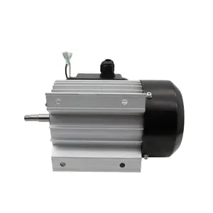 S113 120v 230v Single Phase High Speed 3000 rmp Asynchronous Electric AC Motor For Water Pump
