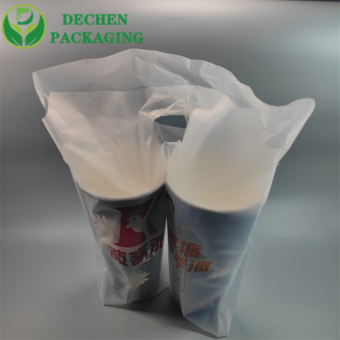 Shopping Packaging Bags For Boutique &amp; Retail Use