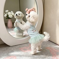 Robe de princesse pour chien Corgi, Shiba Inu, Bichon, Teddy – Mignonne, fine, en polycoton, protection UV, anti-chute de poils, idéale pour l'été