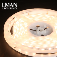Éclairage de décoration intérieur/extérieur, pliable, étanche IP65, DC 12V 24V, 60 LED/m, bande LED SMD 5050