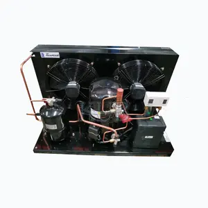 TAG2522ZBR Made in China commercial condensing units r404 refrigerant cold storage compressor condensing units