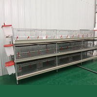 Cage à poulets de chair de type H galvanisée, capacité 60-80 oiseaux, équipement d'élevage avicole en batterie pour ferme