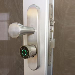 Eiyisie Slimme Vingerafdruk Slot Indoor Tuya Kantoor Bal Slot Digitaal Deurslot Op Afstand Bediening - Product Image 4